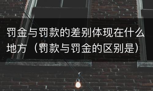 罚金与罚款的差别体现在什么地方（罚款与罚金的区别是）