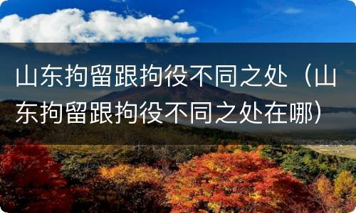 山东拘留跟拘役不同之处（山东拘留跟拘役不同之处在哪）