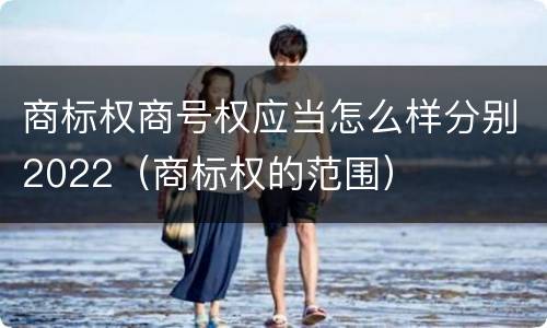商标权商号权应当怎么样分别2022（商标权的范围）