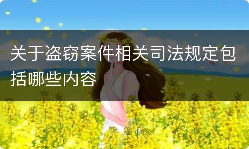 关于盗窃案件相关司法规定包括哪些内容
