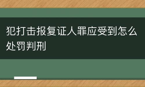 犯打击报复证人罪应受到怎么处罚判刑