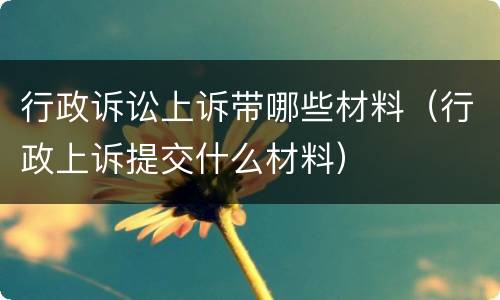 行政诉讼上诉带哪些材料（行政上诉提交什么材料）