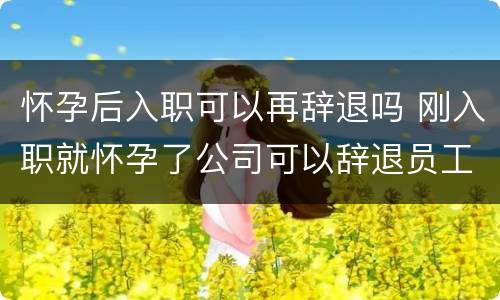 怀孕后入职可以再辞退吗 刚入职就怀孕了公司可以辞退员工的吗