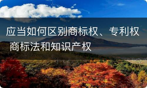 应当如何区别商标权、专利权 商标法和知识产权