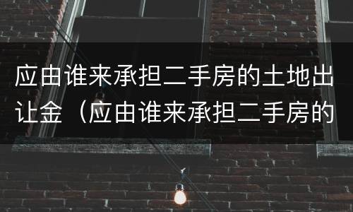 应由谁来承担二手房的土地出让金（应由谁来承担二手房的土地出让金税率）