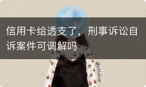 信用卡给透支了，刑事诉讼自诉案件可调解吗