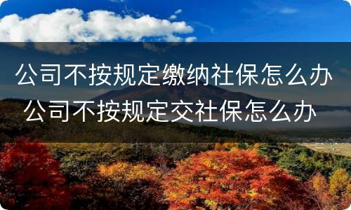 公司不按规定缴纳社保怎么办 公司不按规定交社保怎么办