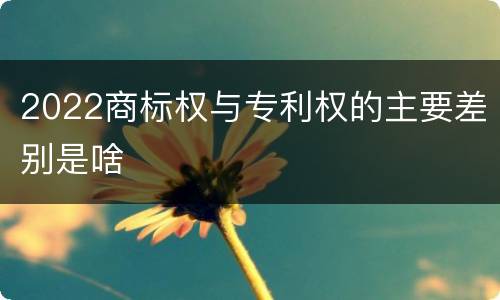 2022商标权与专利权的主要差别是啥