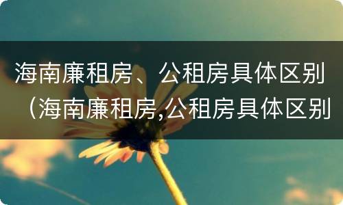 海南廉租房、公租房具体区别（海南廉租房,公租房具体区别是什么）