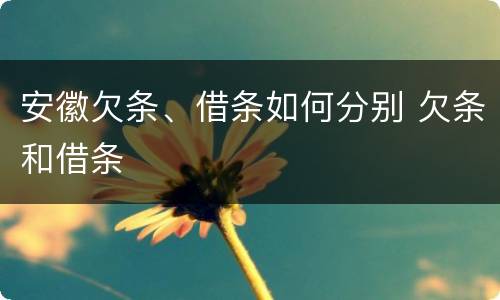 安徽欠条、借条如何分别 欠条和借条