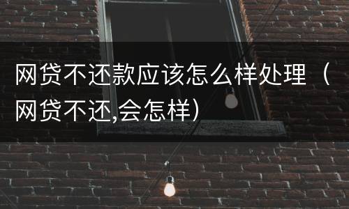 网贷不还款应该怎么样处理（网贷不还,会怎样）