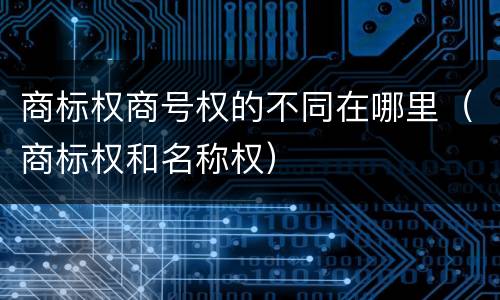 商标权商号权的不同在哪里（商标权和名称权）