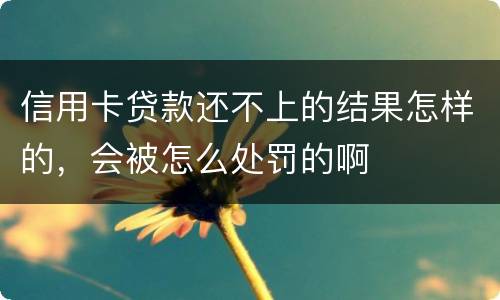 信用卡贷款还不上的结果怎样的，会被怎么处罚的啊