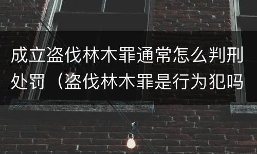 成立盗伐林木罪通常怎么判刑处罚（盗伐林木罪是行为犯吗）