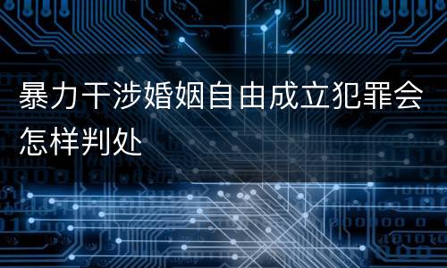 暴力干涉婚姻自由成立犯罪会怎样判处