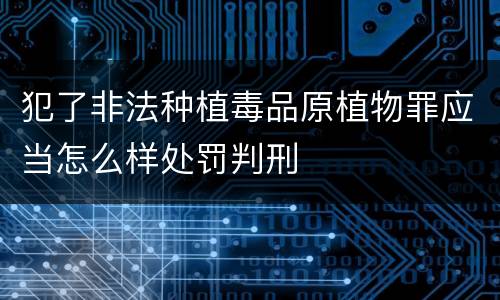 犯了非法种植毒品原植物罪应当怎么样处罚判刑