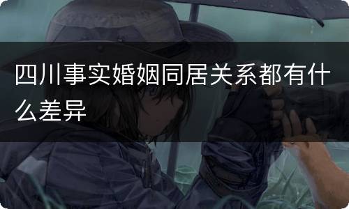 四川事实婚姻同居关系都有什么差异
