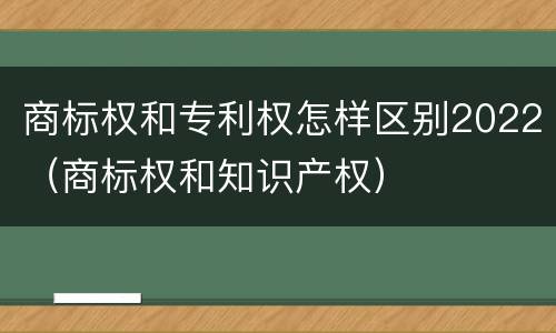 商标权和专利权怎样区别2022（商标权和知识产权）