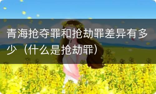 青海抢夺罪和抢劫罪差异有多少（什么是抢劫罪）