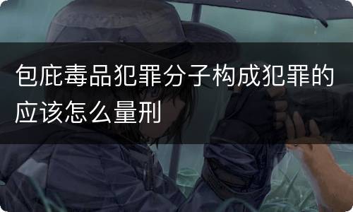包庇毒品犯罪分子构成犯罪的应该怎么量刑