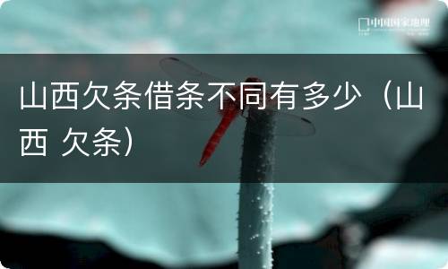 山西欠条借条不同有多少（山西 欠条）
