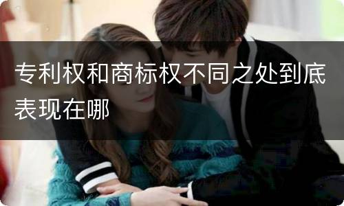 专利权和商标权不同之处到底表现在哪