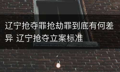 辽宁抢夺罪抢劫罪到底有何差异 辽宁抢夺立案标准