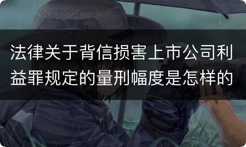 法律关于背信损害上市公司利益罪规定的量刑幅度是怎样的