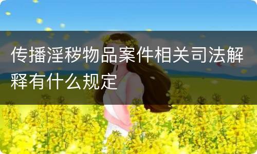 传播淫秽物品案件相关司法解释有什么规定