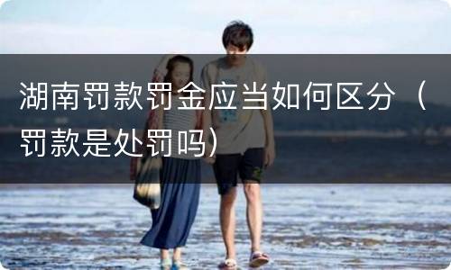 湖南罚款罚金应当如何区分（罚款是处罚吗）