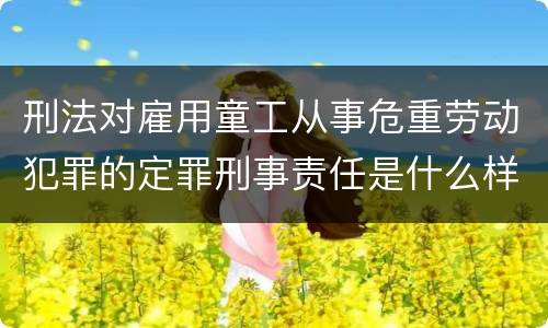 刑法对雇用童工从事危重劳动犯罪的定罪刑事责任是什么样的