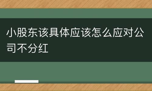 小股东该具体应该怎么应对公司不分红