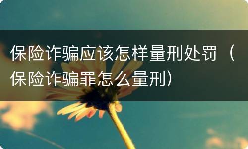 保险诈骗应该怎样量刑处罚（保险诈骗罪怎么量刑）