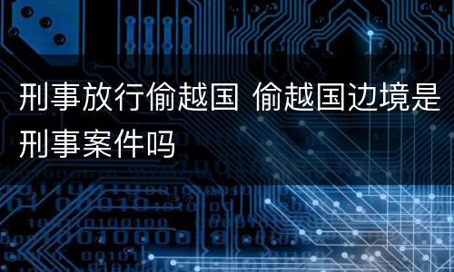 刑事放行偷越国 偷越国边境是刑事案件吗