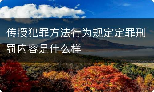 传授犯罪方法行为规定定罪刑罚内容是什么样