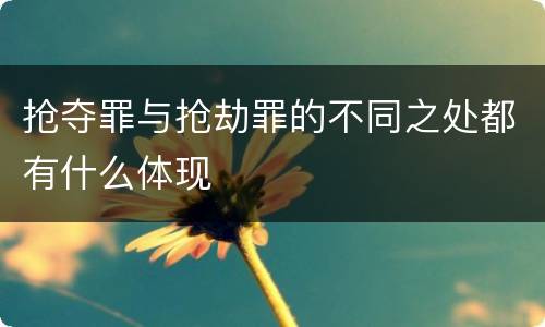 抢夺罪与抢劫罪的不同之处都有什么体现