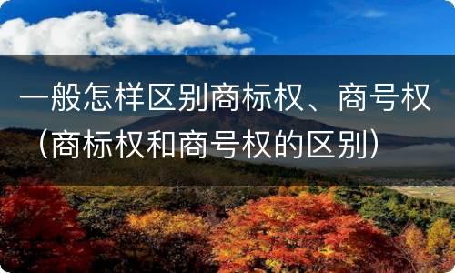 一般怎样区别商标权、商号权（商标权和商号权的区别）