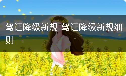 驾证降级新规 驾证降级新规细则