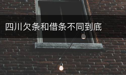 四川欠条和借条不同到底