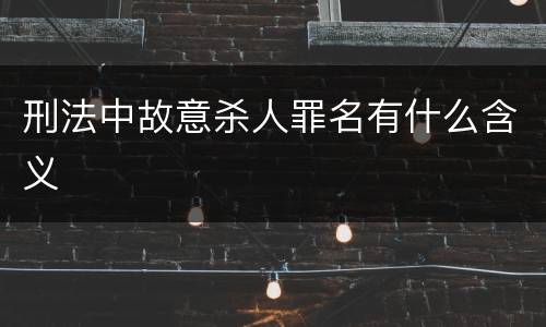 刑法中故意杀人罪名有什么含义