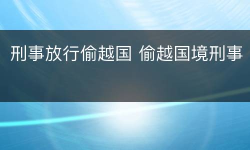 刑事放行偷越国 偷越国境刑事