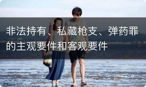 非法持有、私藏枪支、弹药罪的主观要件和客观要件