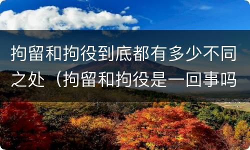 拘留和拘役到底都有多少不同之处（拘留和拘役是一回事吗）