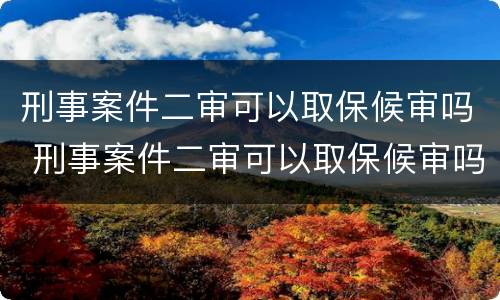 刑事案件二审可以取保候审吗 刑事案件二审可以取保候审吗多久