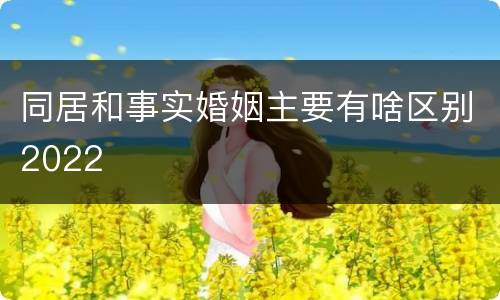 同居和事实婚姻主要有啥区别2022