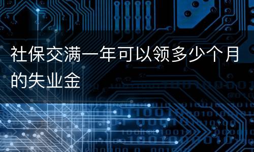 社保交满一年可以领多少个月的失业金