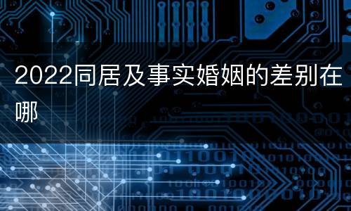2022同居及事实婚姻的差别在哪