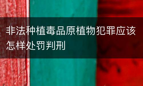 非法种植毒品原植物犯罪应该怎样处罚判刑