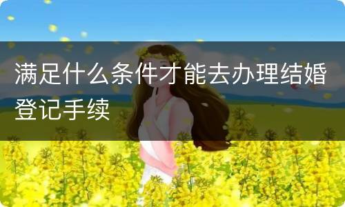 满足什么条件才能去办理结婚登记手续