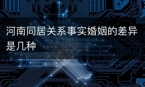 河南同居关系事实婚姻的差异是几种
